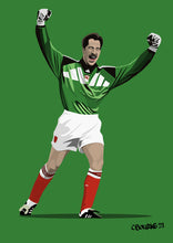 Load image into Gallery viewer, David Seaman ‘94 ECWC Print