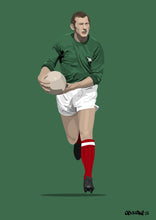 Load image into Gallery viewer, Bob Wilson Print